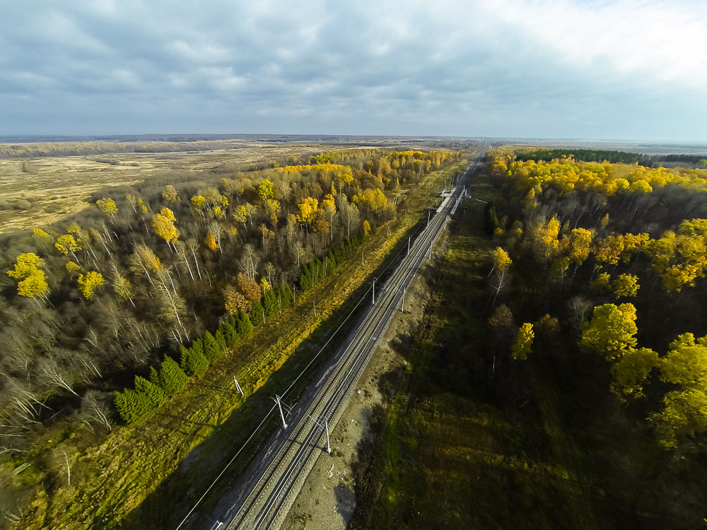 Ярославская область, Ярославское направление, Берендеево, осень, железная дорога, поезда, электрички, платформы, станции