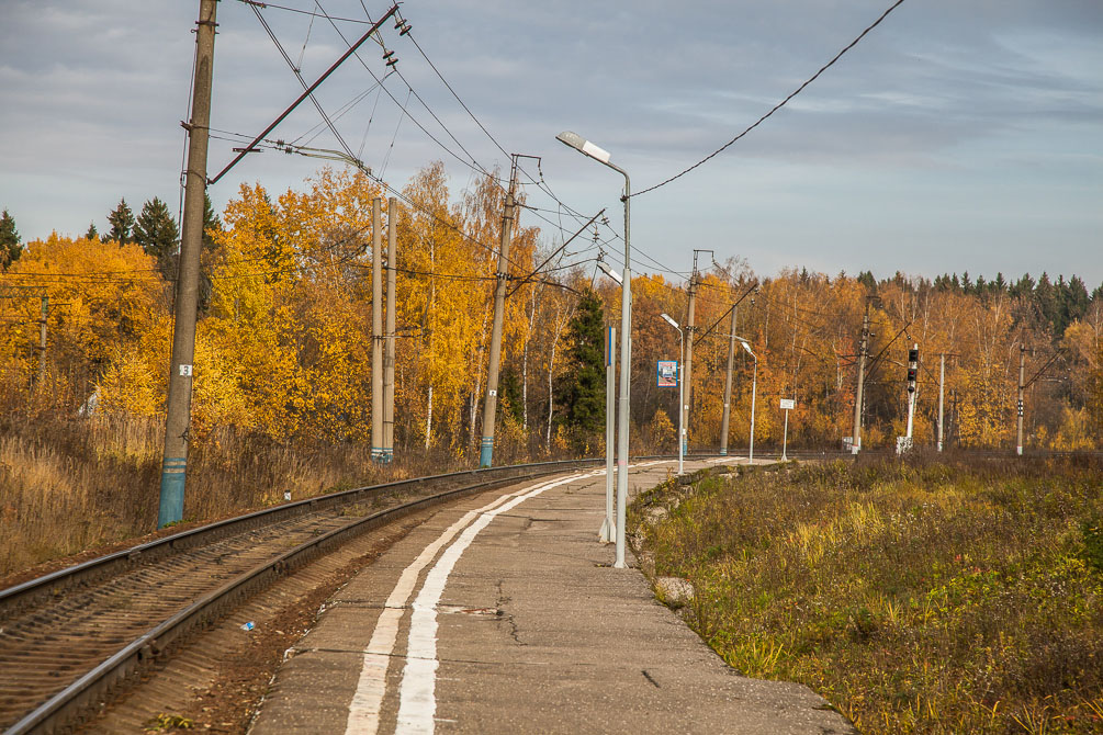 Московская область, Ярославское направление, БМО, 81 км