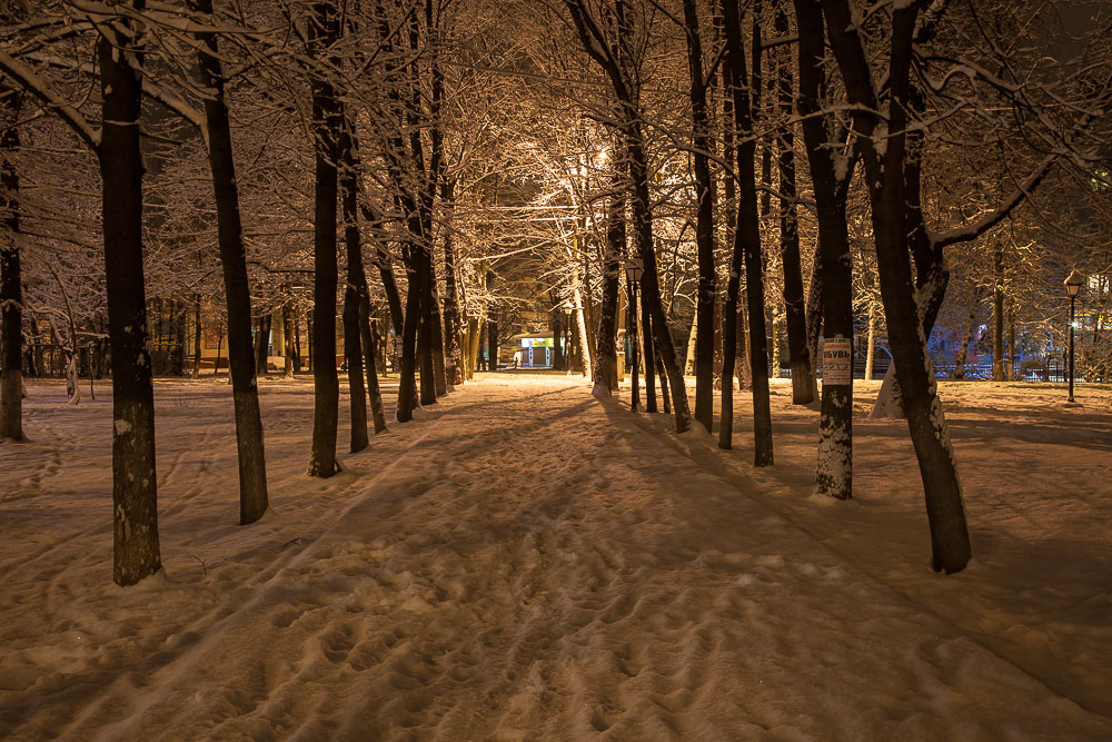 Московская область, Пушкино, зима, снегопад