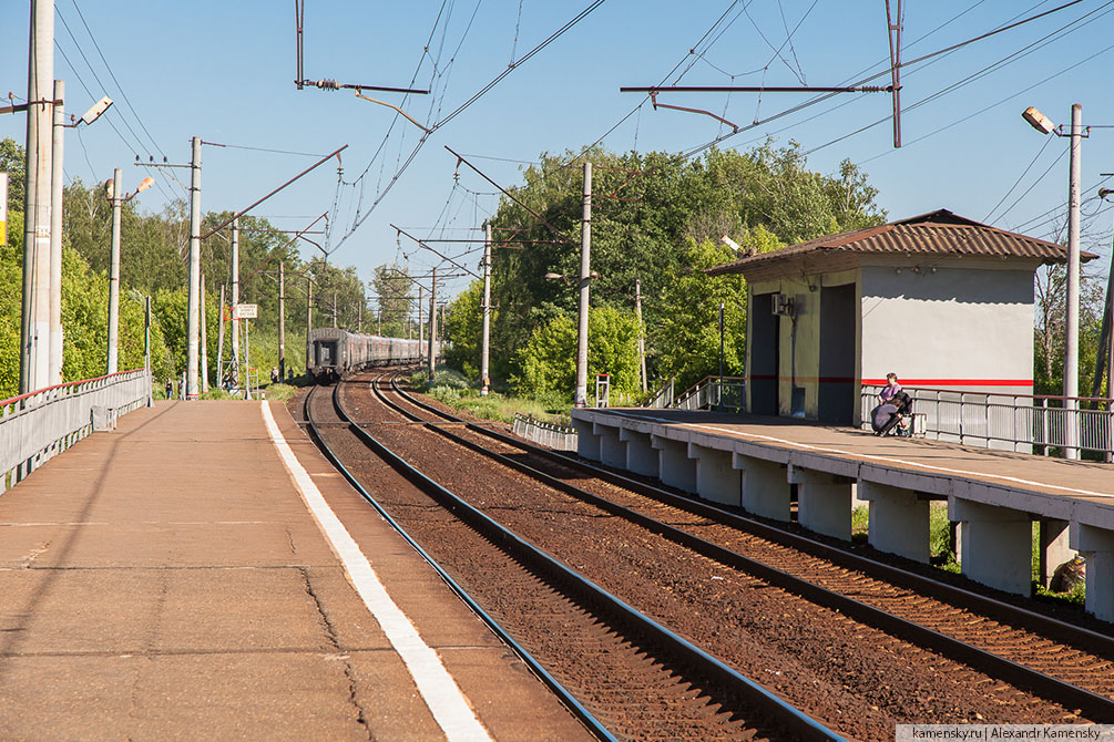 Московская область, лето, Рязанское направление, 