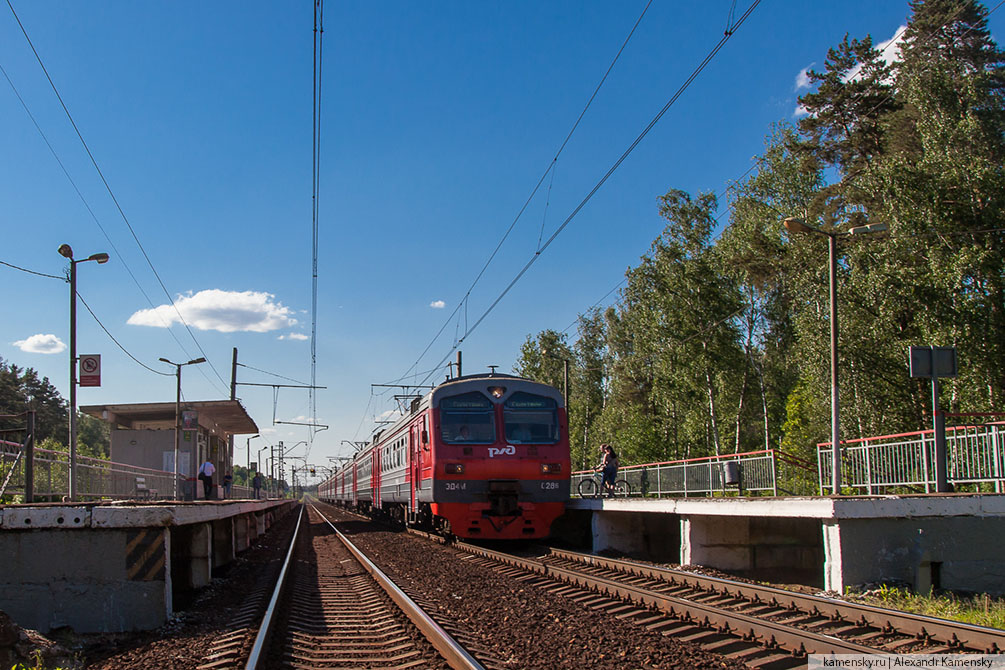 Московская область, лето, Рязанское направление, 