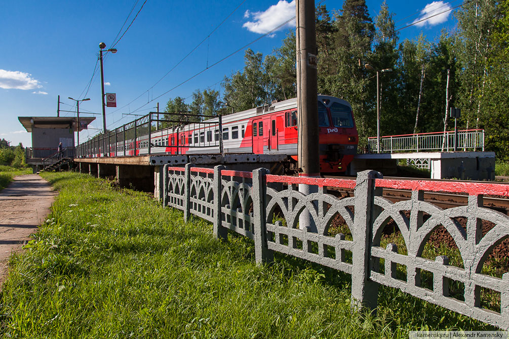 Московская область, лето, Рязанское направление, 