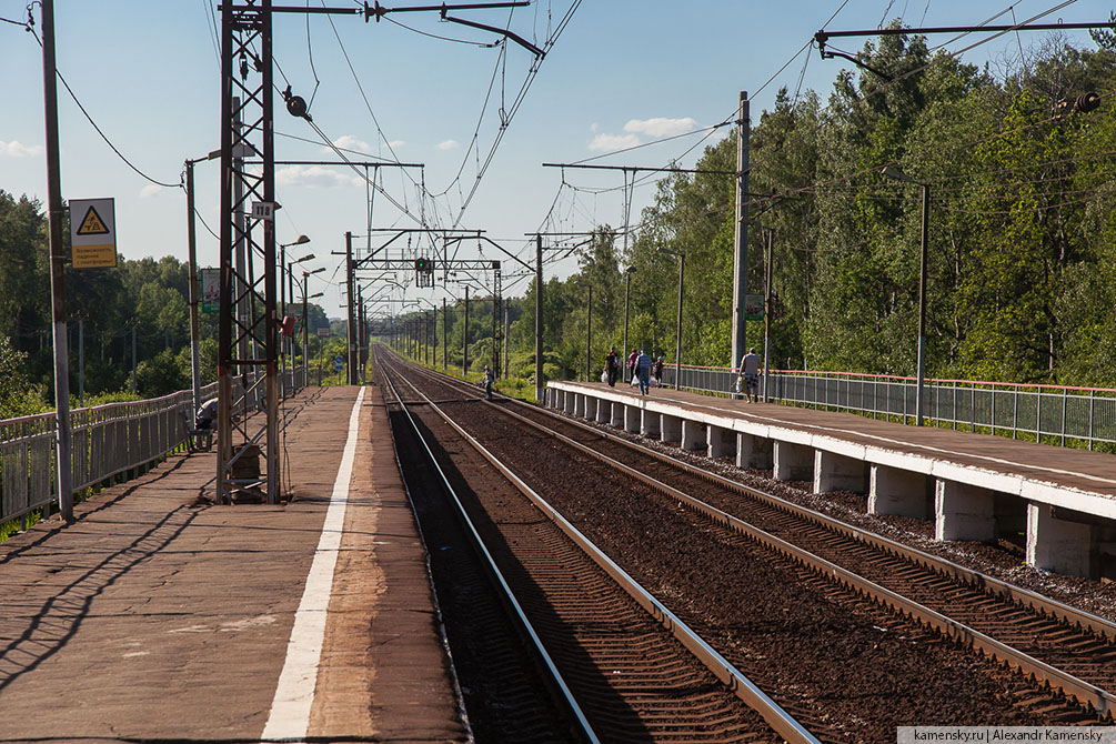 Московская область, лето, Рязанское направление, 