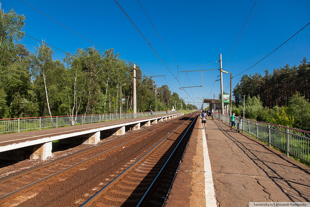 Московская область, лето, Рязанское направление, 