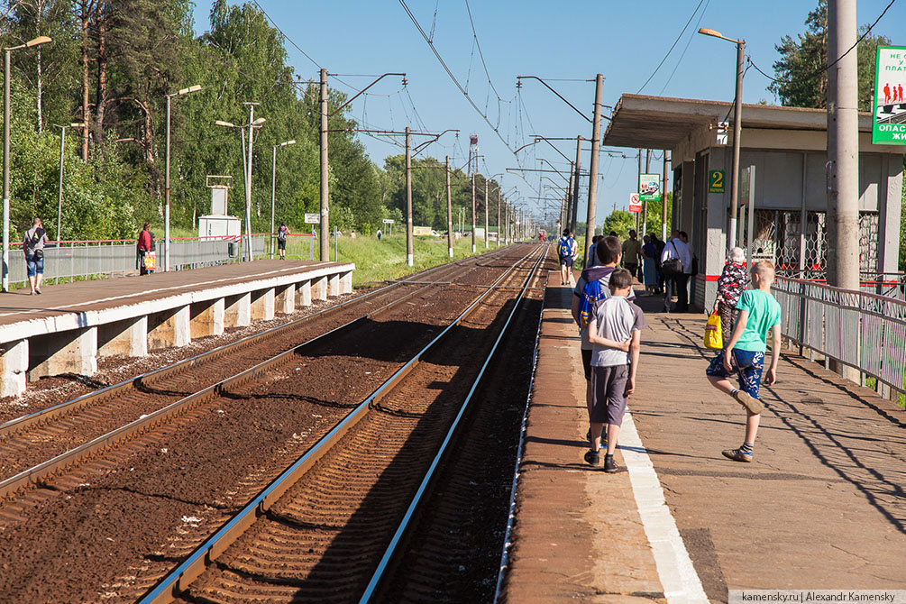 Московская область, лето, Рязанское направление, 