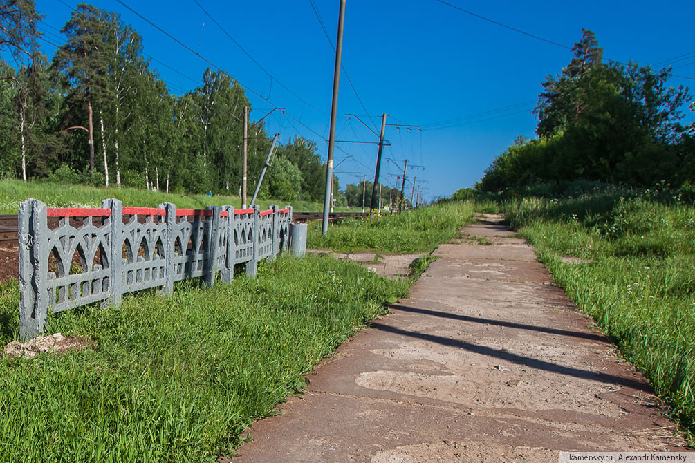 Московская область, лето, Рязанское направление, 