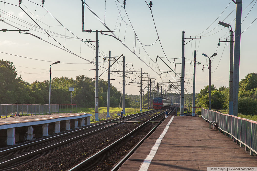 Московская область, лето, Рязанское направление