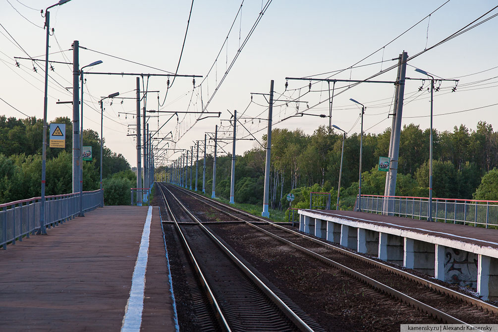 Московская область, лето, Рязанское направление