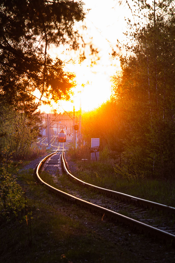 Лето, железная дорога, электрички