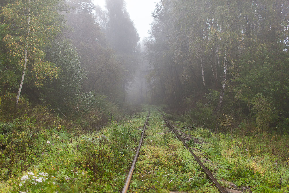 Осень, туман, Московская область, ППЖТ, романтическая железная дорога, красиво, пейзаж, затерянные в лесу