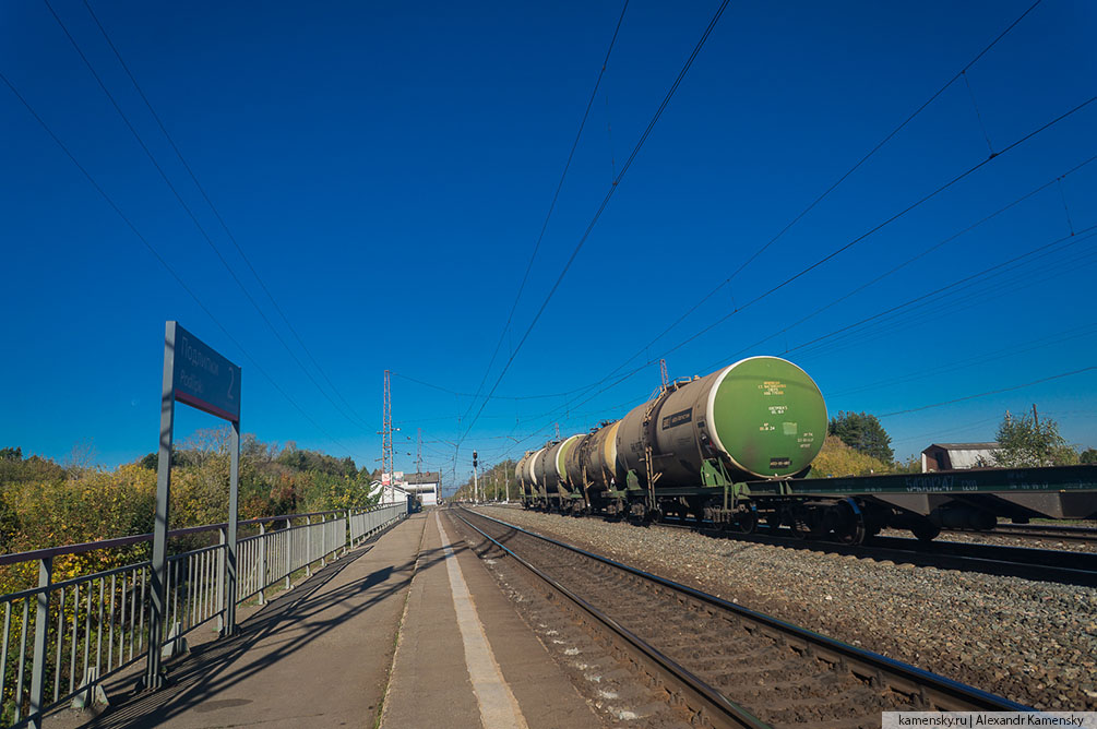 Московская область, Рязанское направление, осень