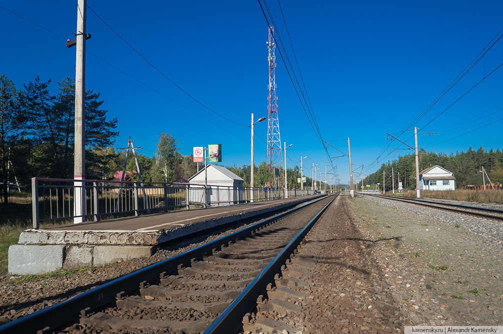 Московская область, Рязанское направление, осень