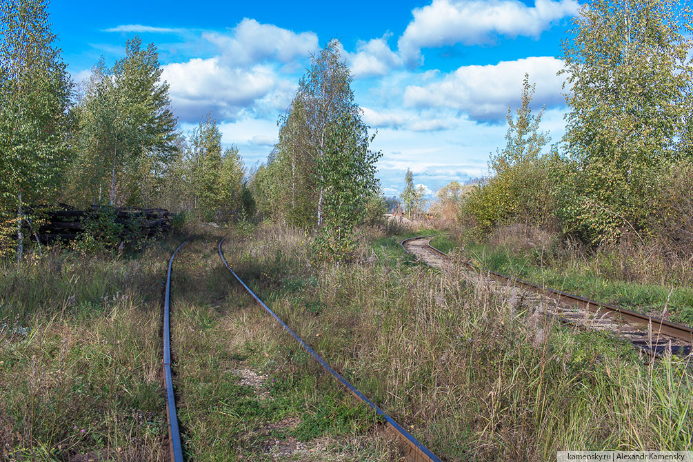 Московская область, осень, ППЖТ, Подъездные пути, Воскресенск, Новочеркасское