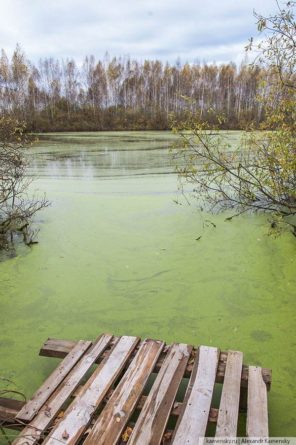 Московская область, осень, водоем, карьер, Дмитров