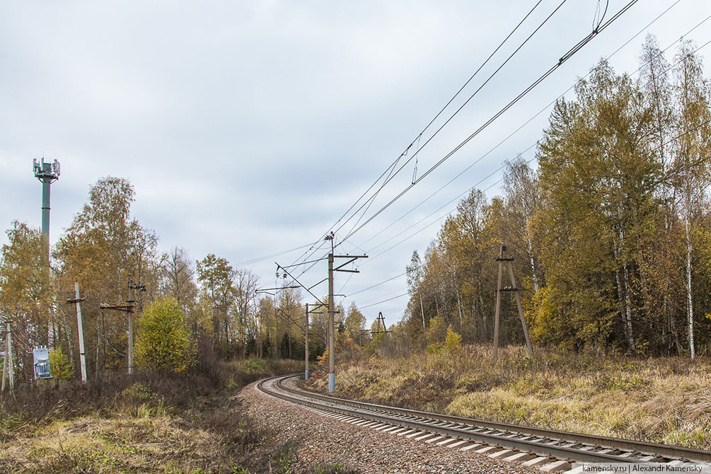 Московская область, осень, БМО, Драчёво