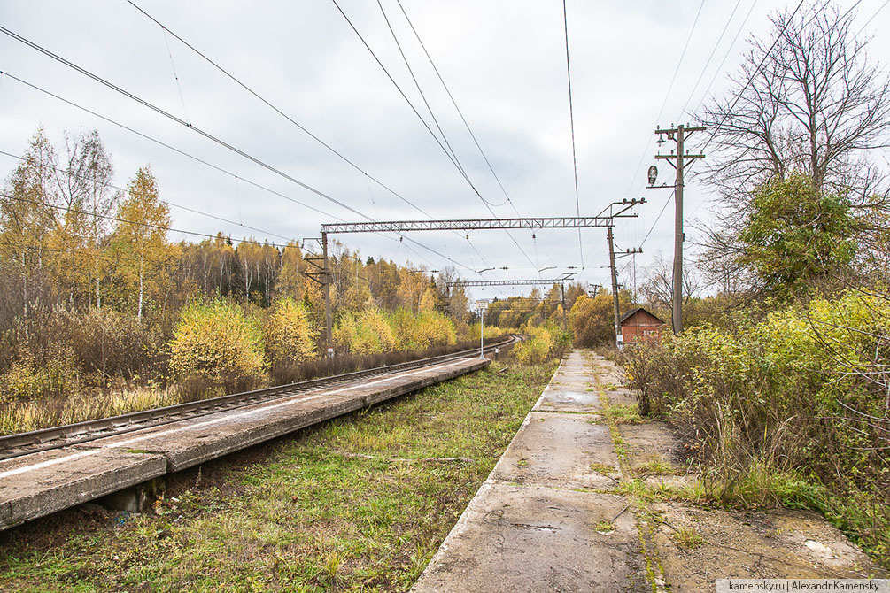 Московская область, осень, БМО, Драчёво