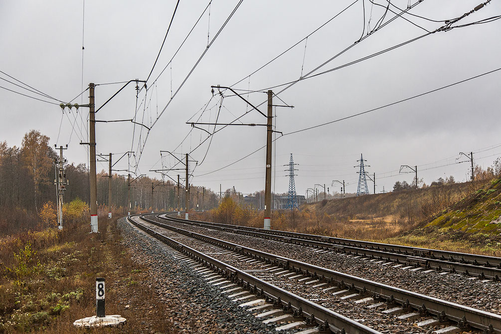 Осень, туман, Московская область, Горьковское направление, новые поезда, Ласточка, Стриж