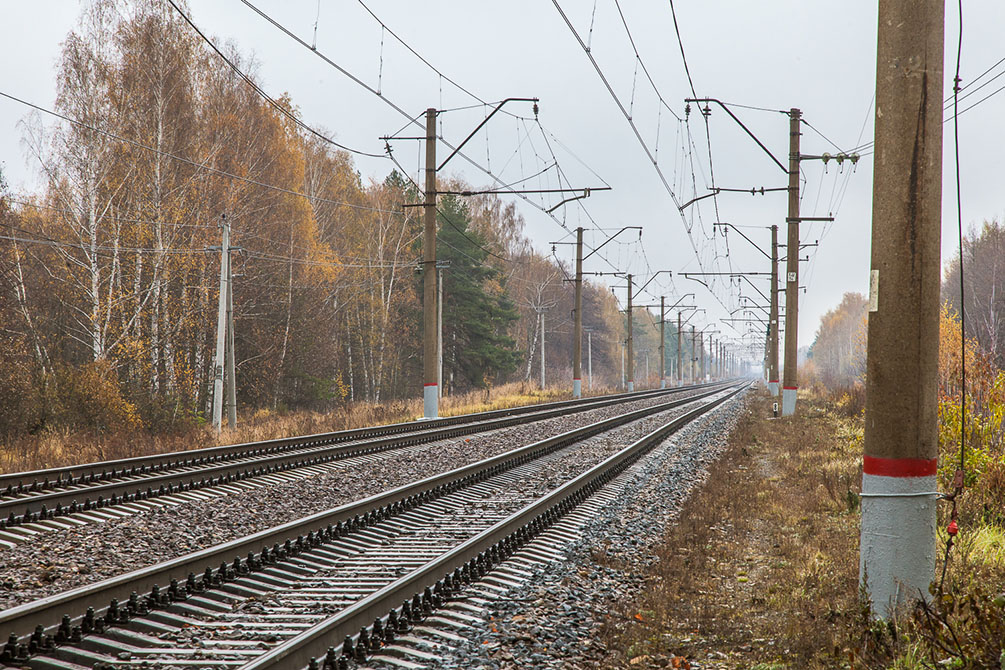 Осень, туман, Московская область, Горьковское направление, новые поезда, Ласточка, Стриж