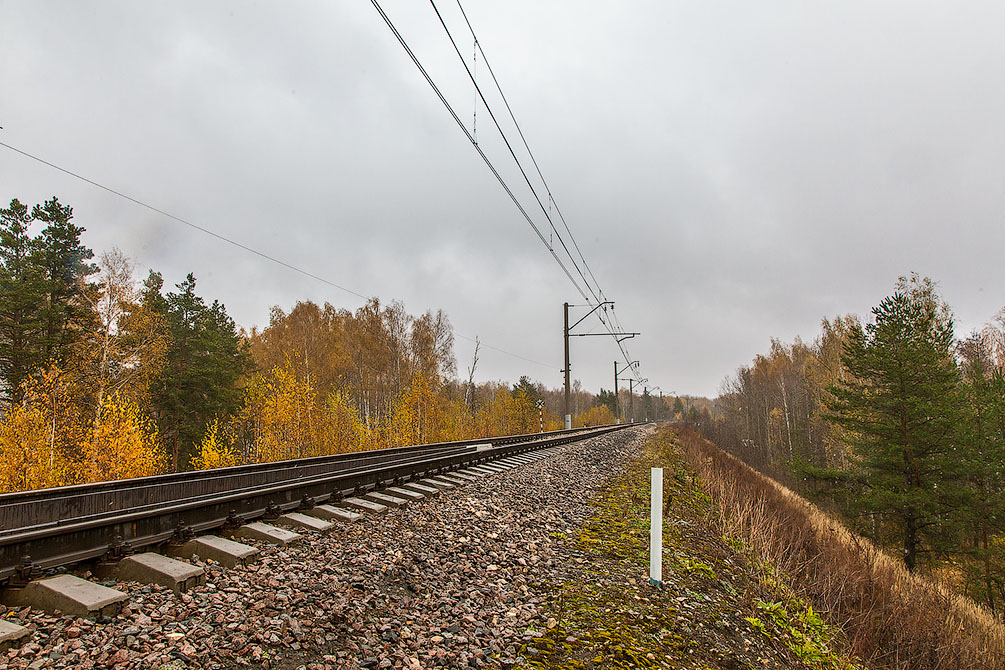 Осень, туман, Московская область, Горьковское направление, новые поезда, Ласточка, Стриж