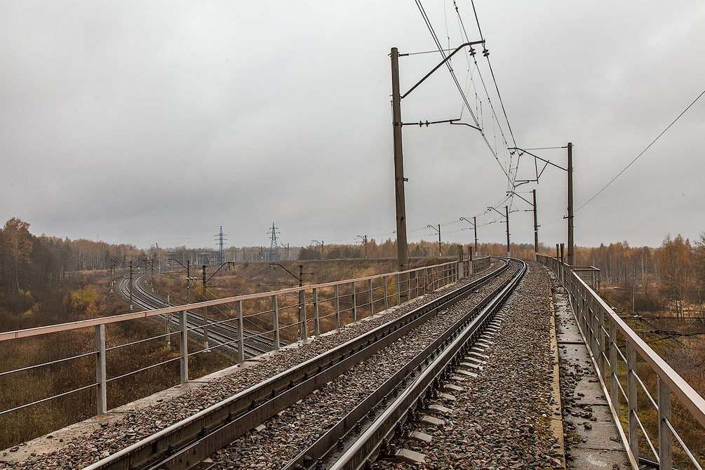 Осень, туман, Московская область, Горьковское направление, новые поезда, Ласточка, Стриж