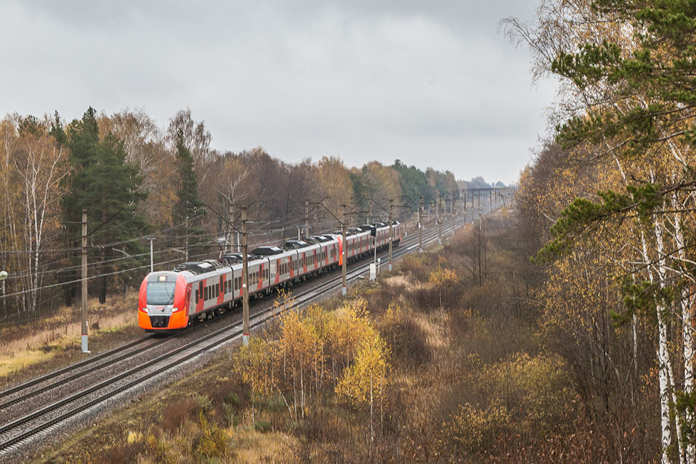 Осень, туман, Московская область, Горьковское направление, новые поезда, Ласточка, Стриж