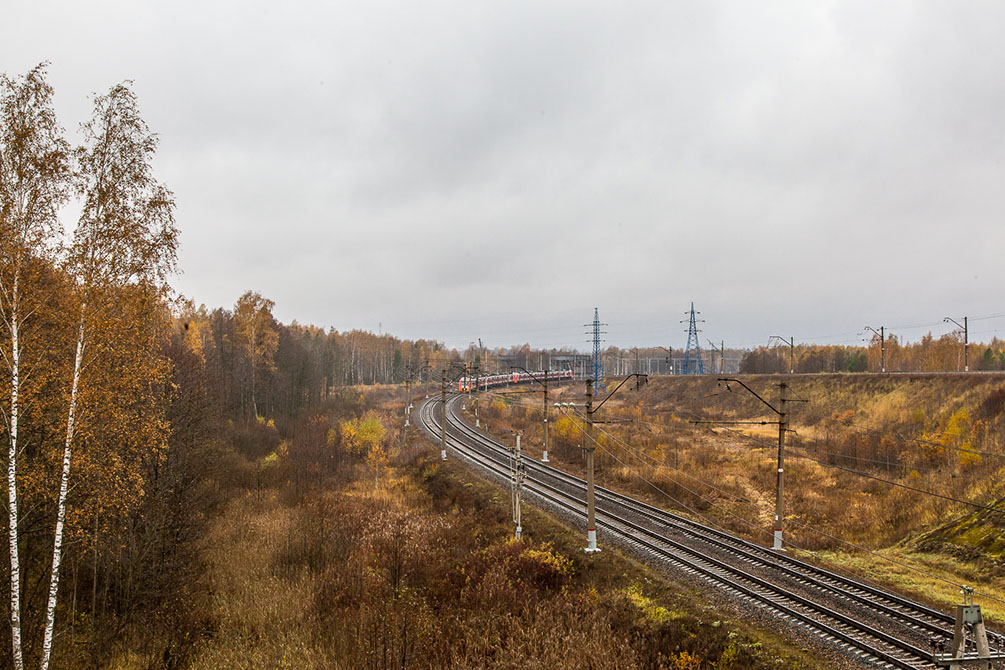 Осень, туман, Московская область, Горьковское направление, новые поезда, Ласточка, Стриж