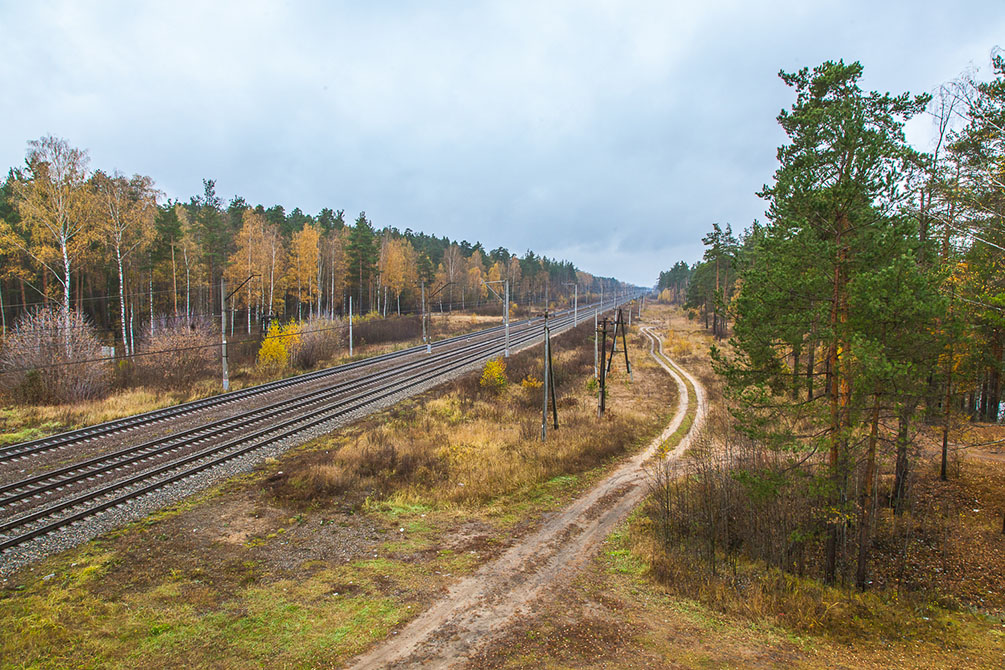 Осень, туман, Московская область, БМО, романтическая железная дорога, красиво, пейзаж, озеро в лесу, Амазонка, Орехово-Зуево, Клязьма, мосты