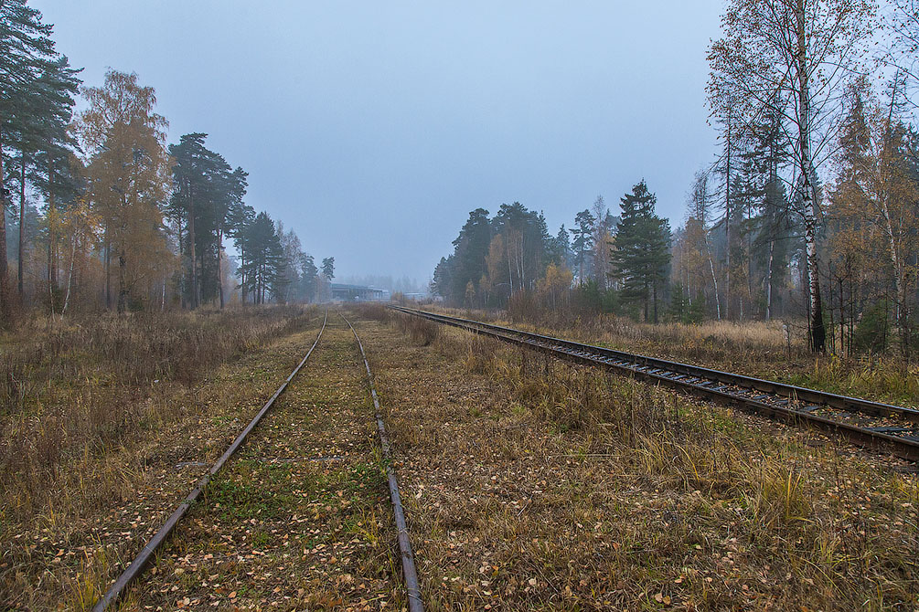 осень, железная дорога, Московская область, Ярославское направление, Красноармейская ветка