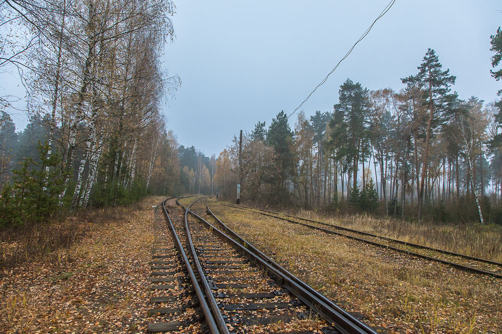 осень, железная дорога, Московская область, Ярославское направление, Красноармейская ветка