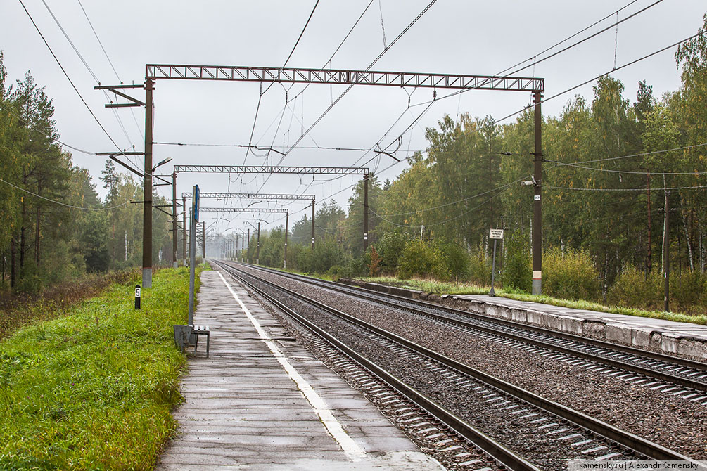 жд, железные дороги, Московская область, осень, красиво