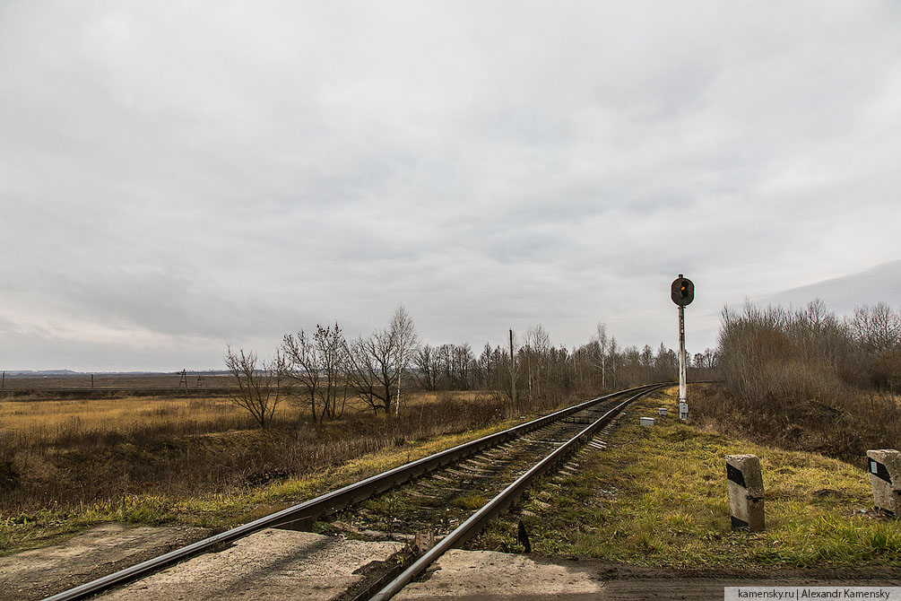 Московская область, зима, БМО