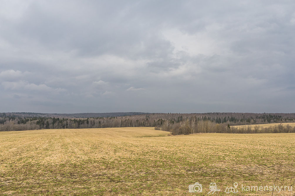 Московская область, поля, весна