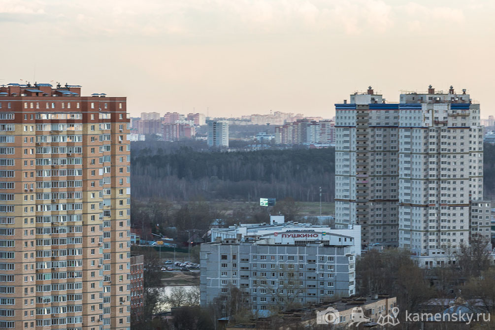 Московская область, поля, весна