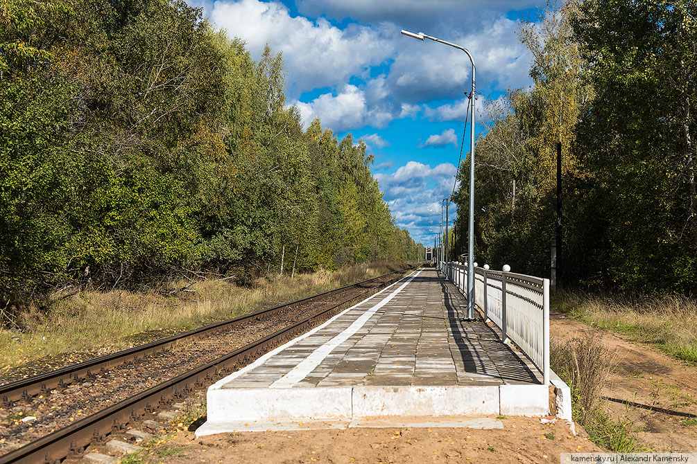 Московская область, лето, Коломна, трамвай