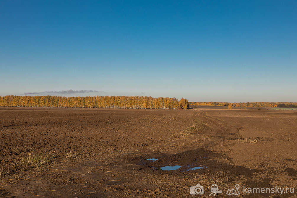 Рязанская область, осень, пейзаж