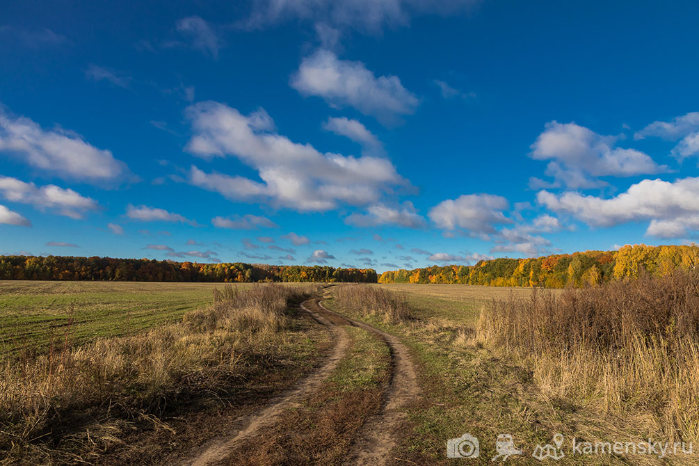 Рязанская область, осень, пейзаж