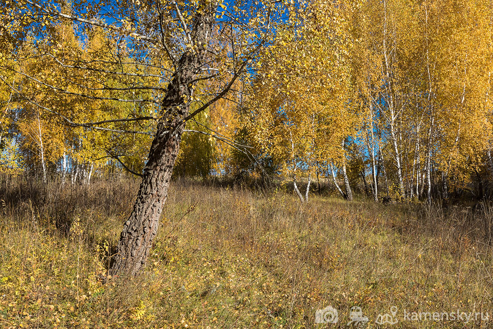 Рязанская область, осень, пейзаж