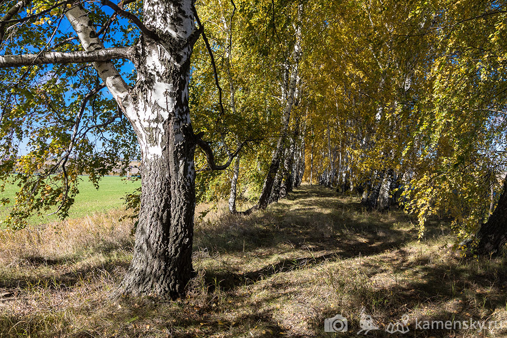 Рязанская область, осень, пейзаж