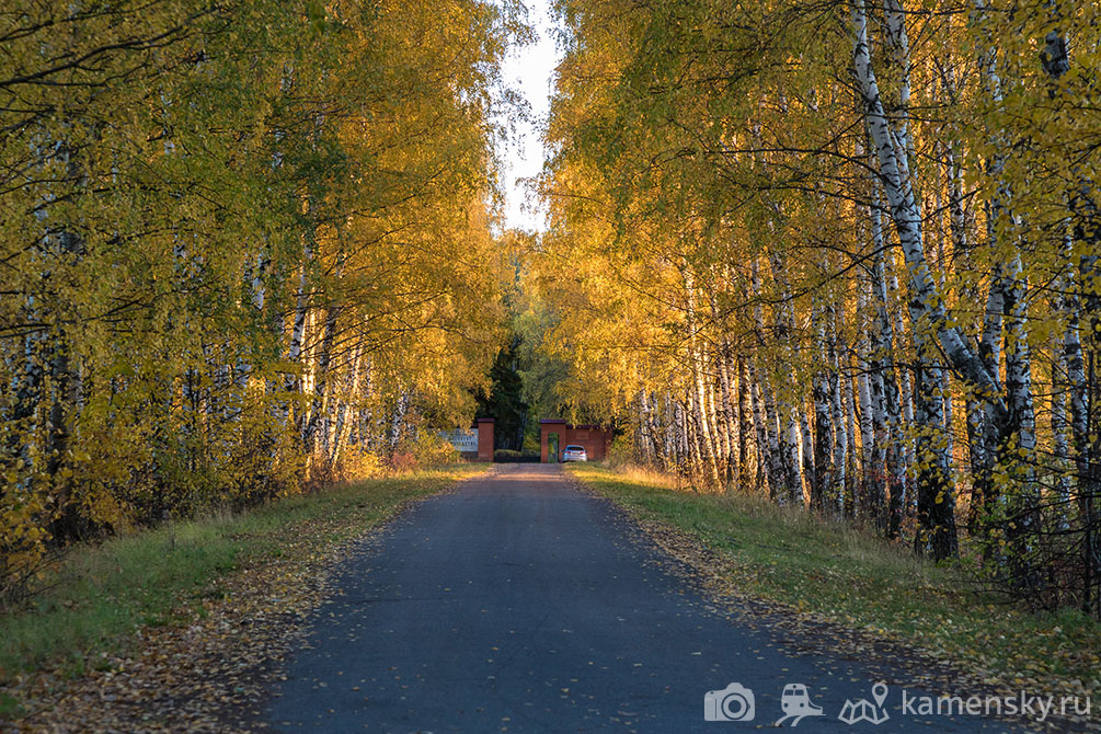 Рязанская область, осень, пейзаж