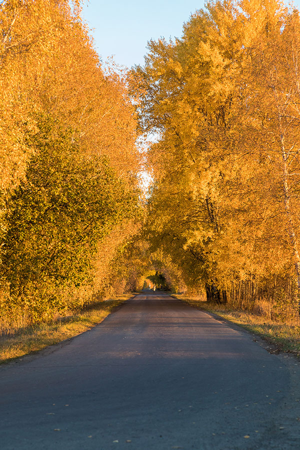 Рязанская область, осень, пейзаж