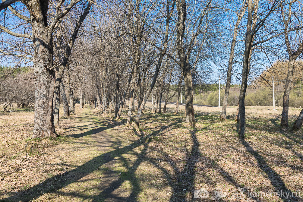 Московская область, БМО, Бубяково, 62 км