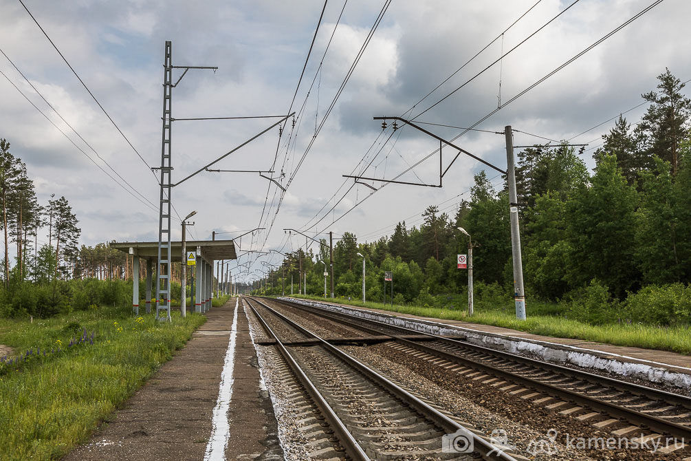 Московская область, Владимирская область, БМО, весна