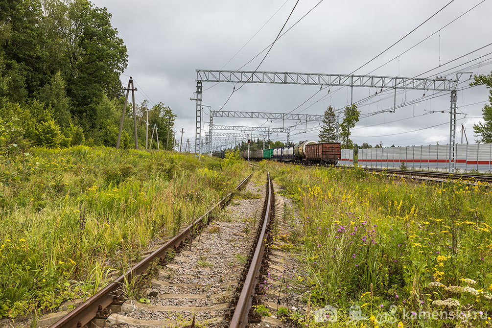 Московская область, лето, Ярославское направление, Пересвет