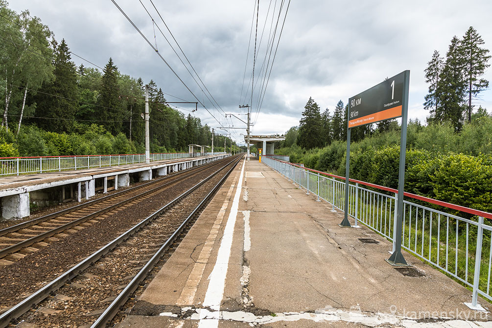 Московская область, лето, Ярославское направление, Пересвет