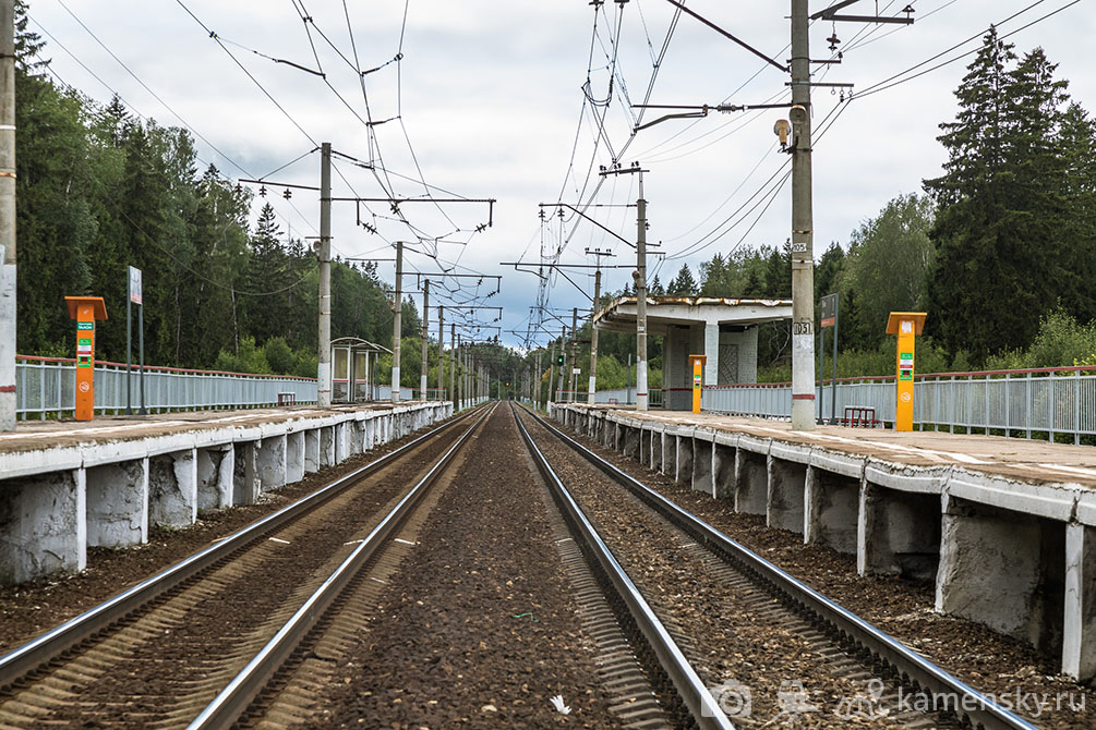 Московская область, лето, Ярославское направление, Пересвет