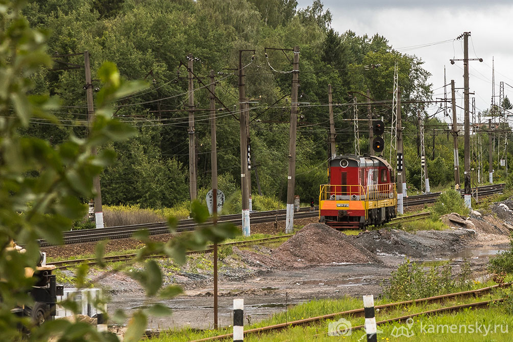 Московская область, лето, Ярославское направление, Пересвет