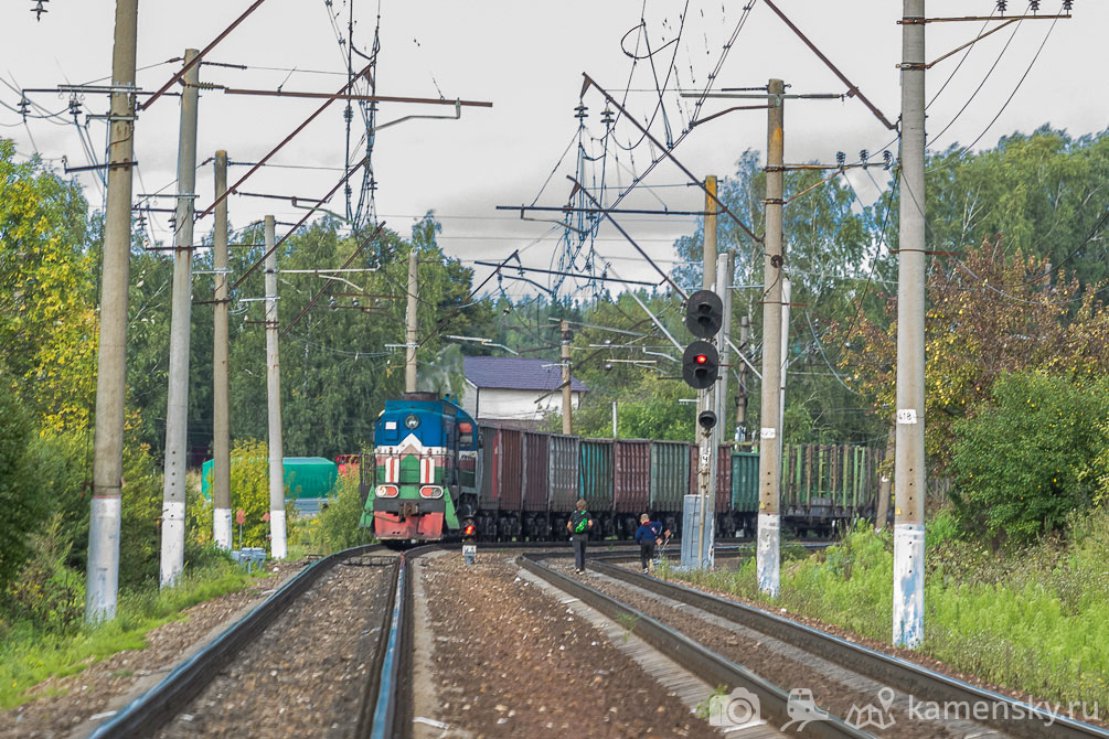 Московская область, лето, Ярославское направление, Пересвет