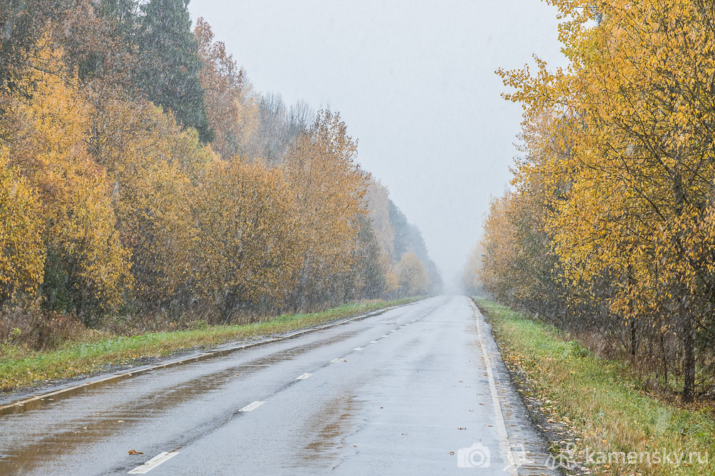 Ярославское направление МЖД, Фёдороское, электричка, осень, с удовольствием, первый снег