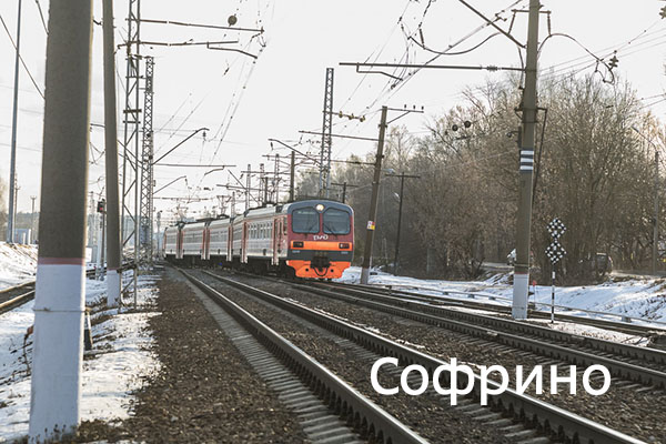 Ярославское направление МЖД, Софрино, Софрино-2, тупичка, электричка, осень, с удовольствием, собака